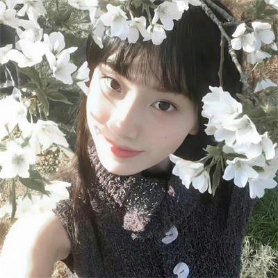 闪乱神乐第一季
